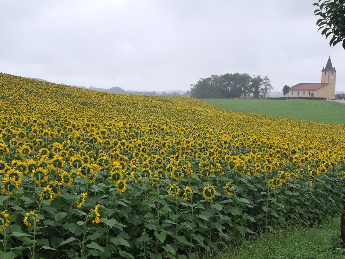 Gite L'Ecureuil*** Mouscardes Экстерьер фото